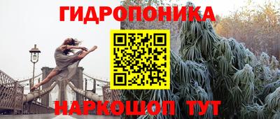 мяу мяу мука Бугуруслан