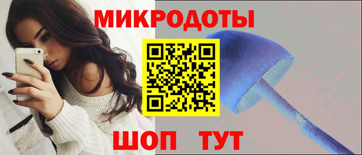 Псилоцибиновые грибы мицелий  Вход с VPN  Холмск 